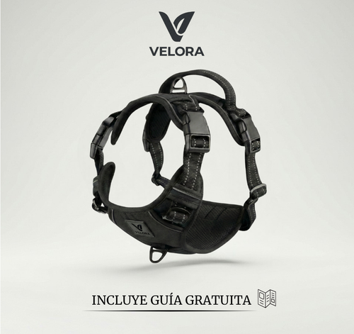 Arnés de Control No-Pull Gen-2