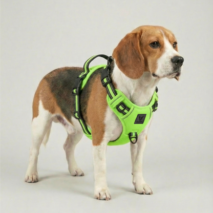 Arnés de Control No-Pull Gen-2