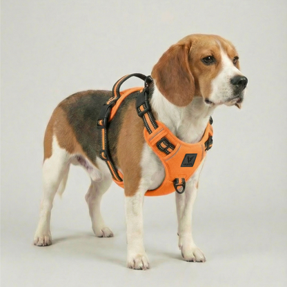 Arnés de Control No-Pull Gen-2