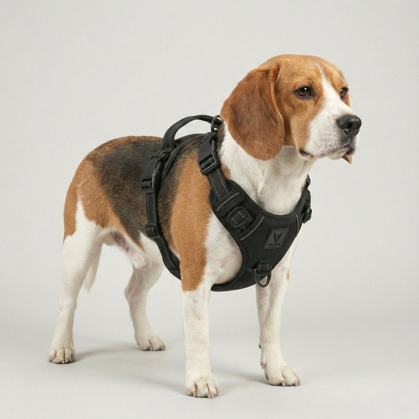 Arnés de Control No-Pull Gen-2