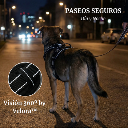 Arnés de Control No-Pull Gen-2