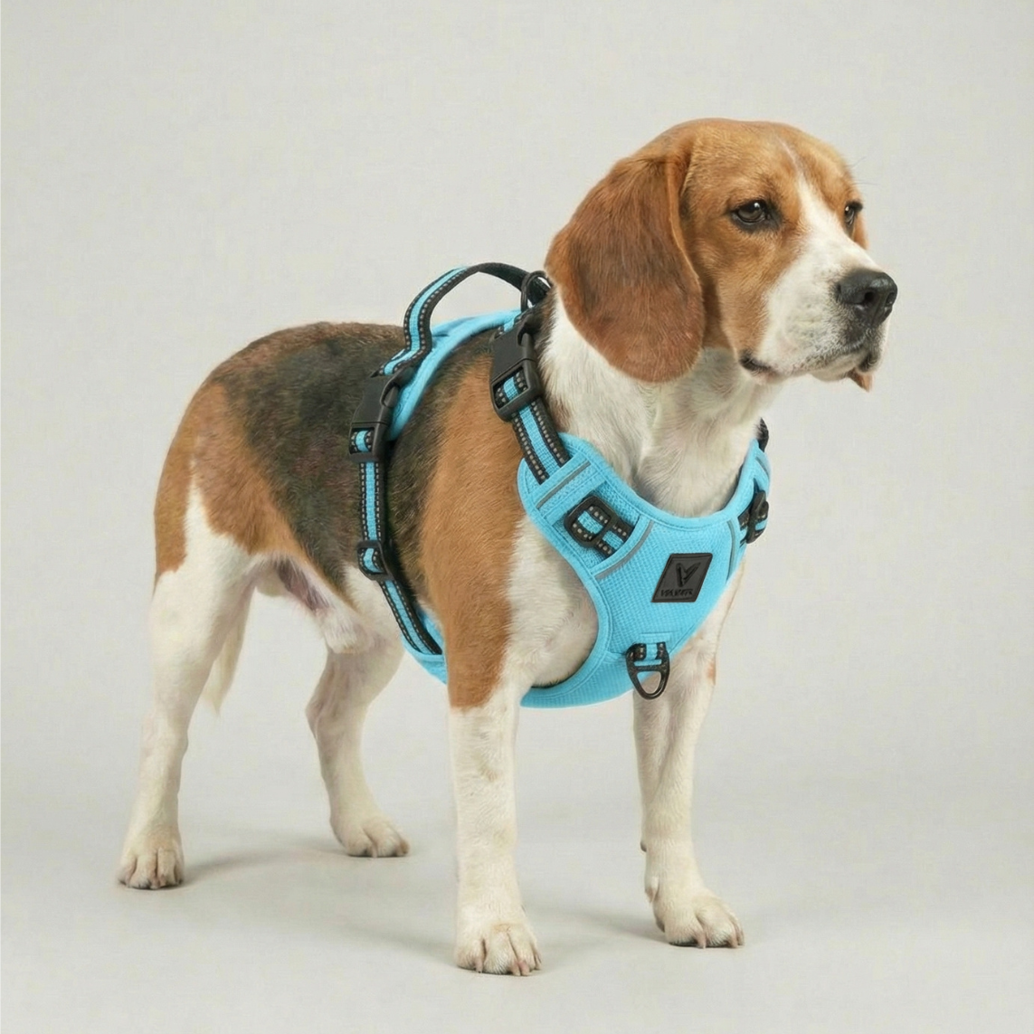 Arnés de Control No-Pull Gen-2