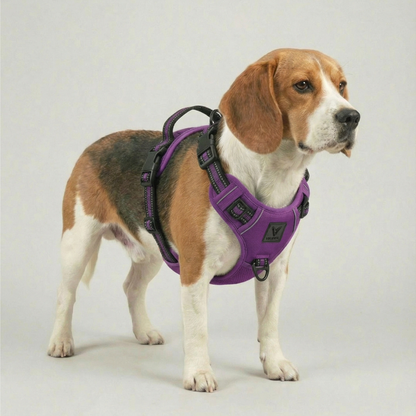 Arnés de Control No-Pull Gen-2